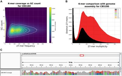 Whole-Genome Sequencing of the Opportunistic Yeast Pathogen Candida inconspicua Uncovers Its Hybrid Origin